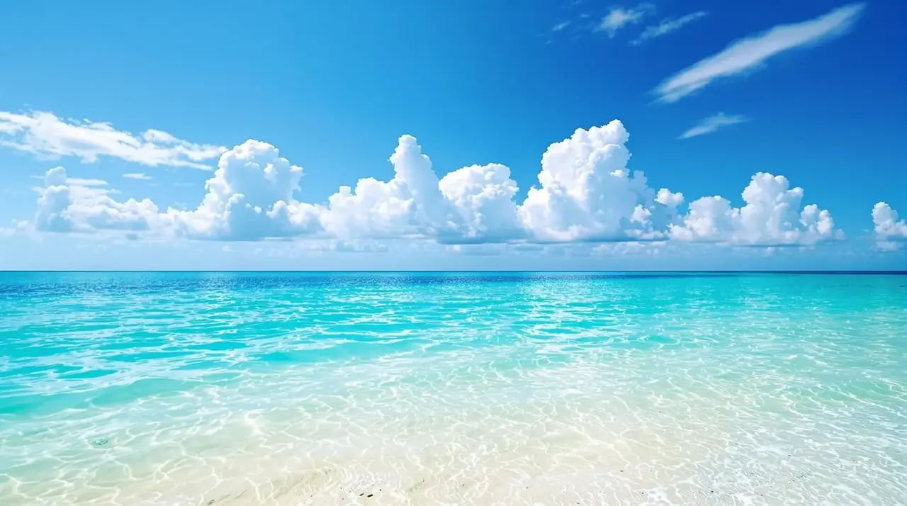 夏日清凉特辑